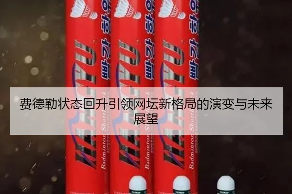 费德勒状态回升引领网坛新格局的演变与未来展望